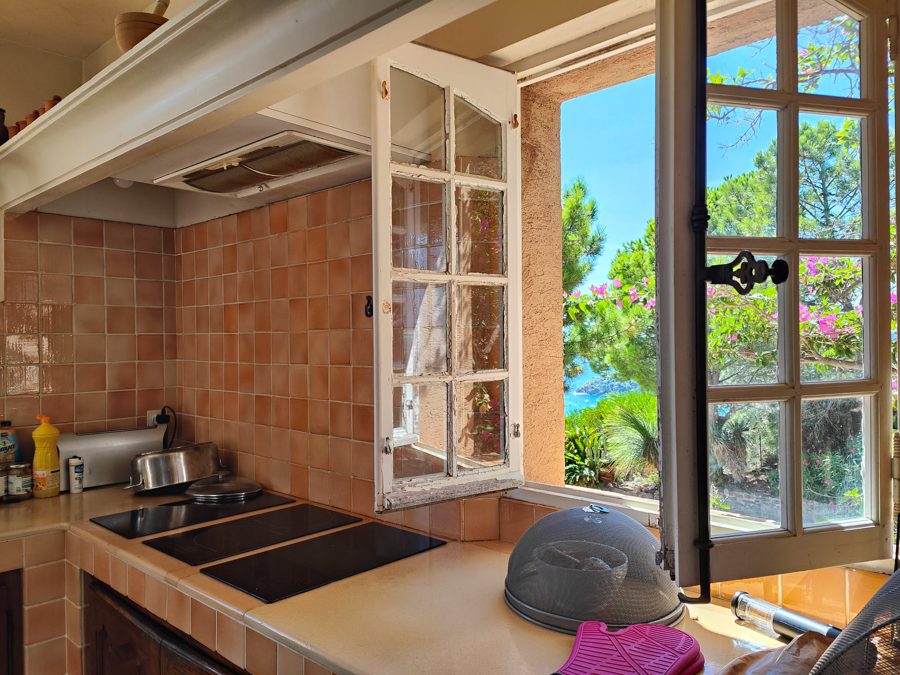 Kitchen window