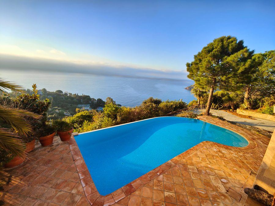 Pool from the garden
