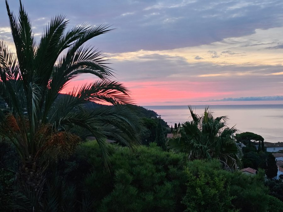 Evening sky